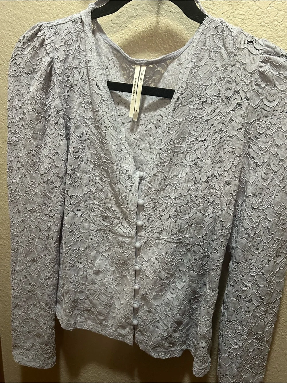 Anthropologie Light Blue Lace Button-Up Blouse